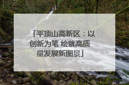 平顶山高新区：以创新为笔 绘就高质量发展新图景