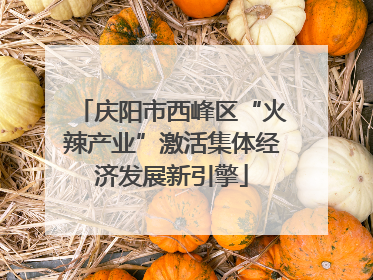庆阳市西峰区“火辣产业”激活集体经济发展新引擎