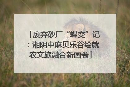 废弃砂厂“蝶变”记：湘阴中麻贝乐谷绘就农文旅融合新画卷