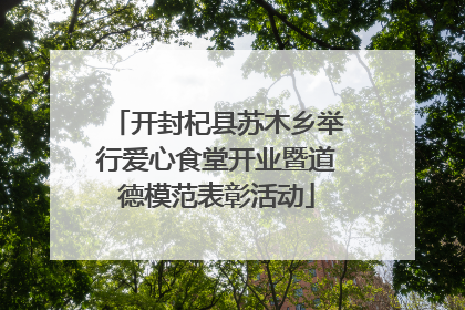 开封杞县苏木乡举行爱心食堂开业暨道德模范表彰活动