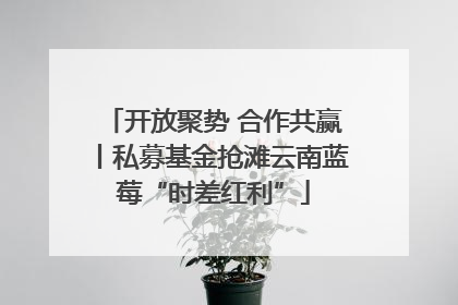 开放聚势 合作共赢丨私募基金抢滩云南蓝莓“时差红利”