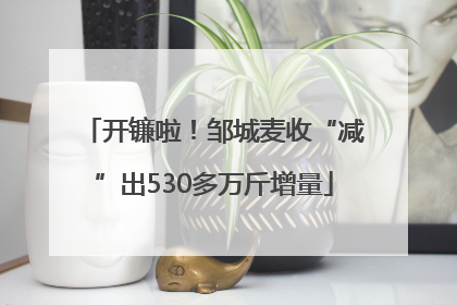 开镰啦！邹城麦收“减”出530多万斤增量