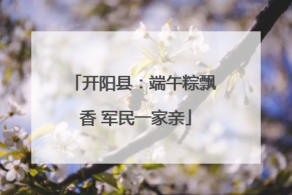 开阳县：端午粽飘香 军民一家亲