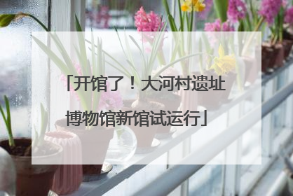 开馆了！大河村遗址博物馆新馆试运行