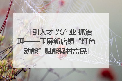 引人才 兴产业 抓治理——玉屏新店镇“红色动能”赋能强村富民