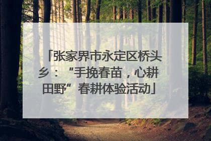 张家界市永定区桥头乡：“手挽春苗，心耕田野”春耕体验活动