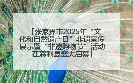 张家界市2025年“文化和自然遗产日”非遗宣传展示暨“非遗购物节”活动在慈利县盛大启幕