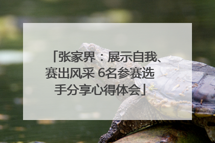 张家界：展示自我、赛出风采 6名参赛选手分享心得体会