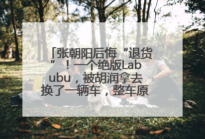张朝阳后悔“退货”！一个绝版Labubu，被胡润拿去换了一辆车，整车原价值上百万元