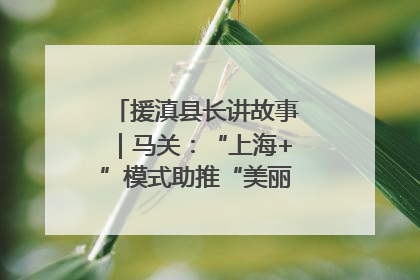 援滇县长讲故事｜马关：“上海+”模式助推“美丽产业”幸福绽放