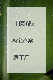 探访陕西宝鸡窑洞工厂