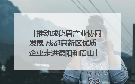 推动成德眉产业协同发展 成都高新区优质企业走进德阳和眉山