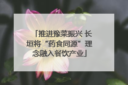推进豫菜振兴 长垣将“药食同源”理念融入餐饮产业