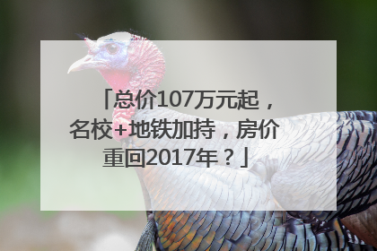 总价107万元起，名校+地铁加持，房价重回2017年？