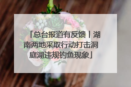 总台报道有反馈丨湖南两地采取行动打击洞庭湖违规钓鱼现象