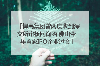 悍高集团曾两度收到深交所审核问询函 佛山今年首家IPO企业过会