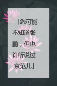 您可能不知道张鹏，但也许听说过京范儿