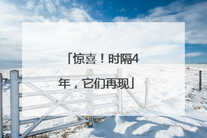 惊喜！时隔4年，它们再现