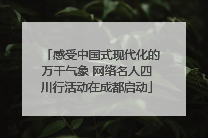 感受中国式现代化的万千气象 网络名人四川行活动在成都启动