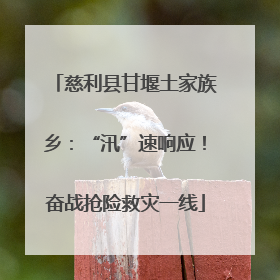 慈利县甘堰土家族乡：“汛”速响应！奋战抢险救灾一线