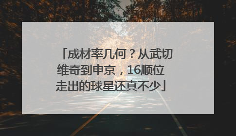 成材率几何？从武切维奇到申京，16顺位走出的球星还真不少