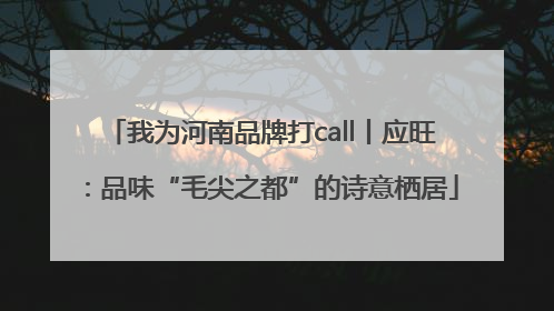 我为河南品牌打call丨应旺：品味“毛尖之都”的诗意栖居