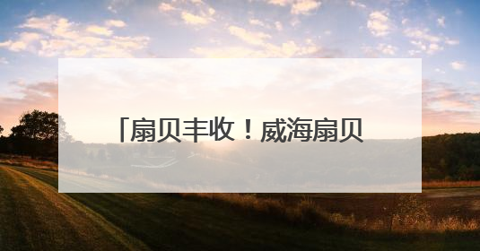 扇贝丰收！威海扇贝从这里“走向”全国
