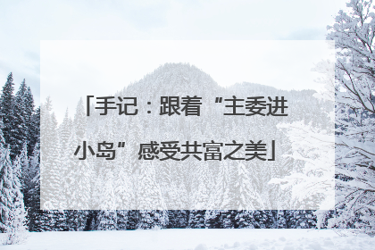 手记：跟着“主委进小岛”感受共富之美