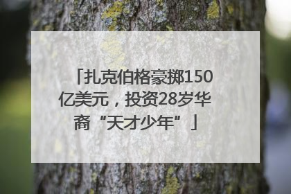 扎克伯格豪掷150亿美元，投资28岁华裔“天才少年”