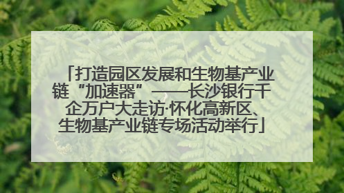 打造园区发展和生物基产业链“加速器”——长沙银行千企万户大走访·怀化高新区、生物基产业链专场活动举行
