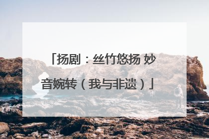 扬剧：丝竹悠扬 妙音婉转（我与非遗）