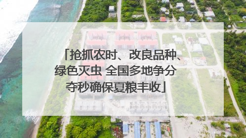 抢抓农时、改良品种、绿色灭虫 全国多地争分夺秒确保夏粮丰收