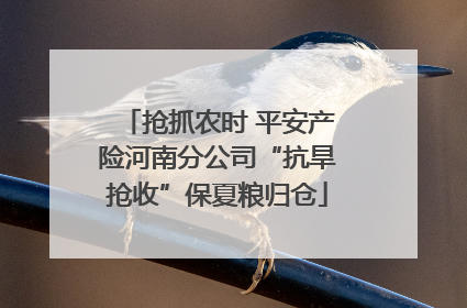 抢抓农时 平安产险河南分公司“抗旱抢收”保夏粮归仓
