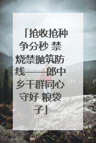 抢收抢种争分秒 禁烧禁抛筑防线——郎中乡干群同心守好 粮袋子