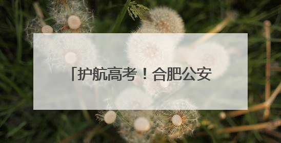 护航高考！合肥公安出台16条护考举措