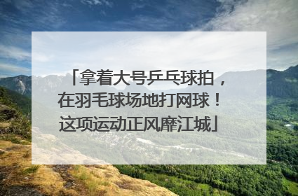 拿着大号乒乓球拍，在羽毛球场地打网球！这项运动正风靡江城