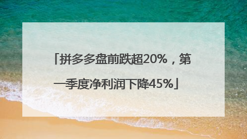 拼多多盘前跌超20%，第一季度净利润下降45%