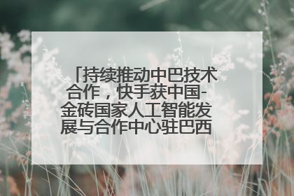 持续推动中巴技术合作，快手获中国-金砖国家人工智能发展与合作中心驻巴西成果转化中心授牌