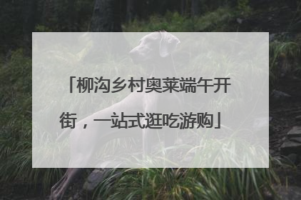 柳沟乡村奥莱端午开街，一站式逛吃游购