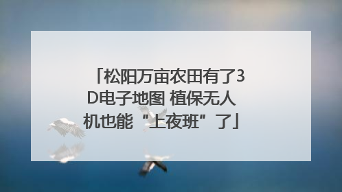松阳万亩农田有了3D电子地图 植保无人机也能“上夜班”了