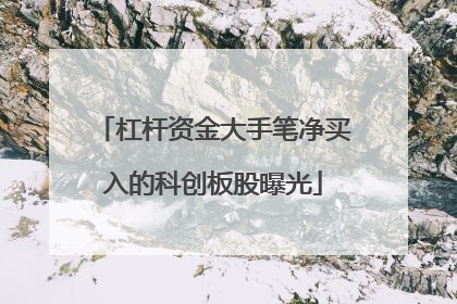 杠杆资金大手笔净买入的科创板股曝光