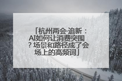 杭州两会·追新：AI如何让消费突围？场景和路径成了会场上的高频词