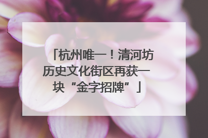 杭州唯一！清河坊历史文化街区再获一块“金字招牌”
