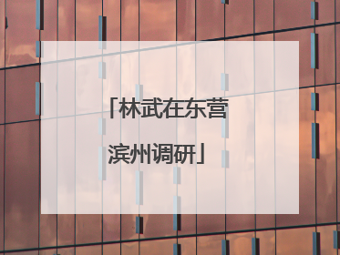 林武在东营滨州调研
