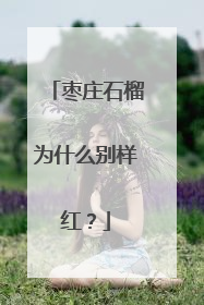 枣庄石榴为什么别样红？