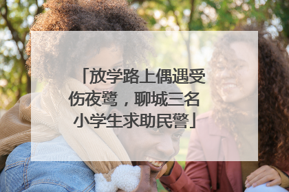 放学路上偶遇受伤夜鹭，聊城三名小学生求助民警