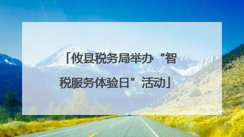 攸县税务局举办“智税服务体验日”活动
