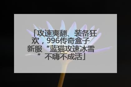 攻速爽翻、装备狂欢，996传奇盒子新服“蓝猫攻速冰雪”不嗨不成活