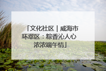 文化社区｜威海市环翠区：粽香沁人心 浓浓端午情