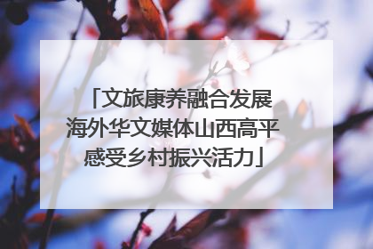 文旅康养融合发展 海外华文媒体山西高平感受乡村振兴活力
